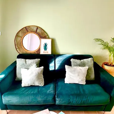 Apartment Lucky Bamboo