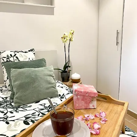 Apartment Lucky Bamboo