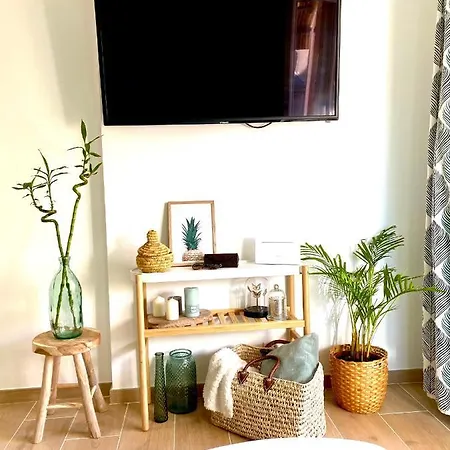 Lucky Bamboo *